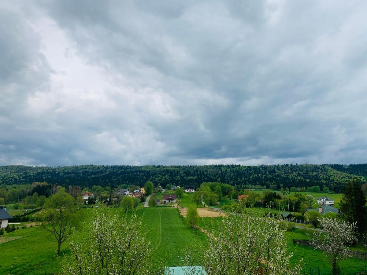 Apartamenty Rownia 2 Ustrzyki Dolne Luaran gambar